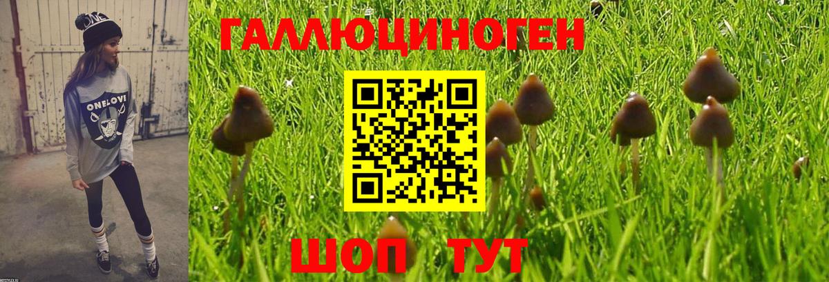 Галлюциногенные грибы мухоморы Краснознаменск