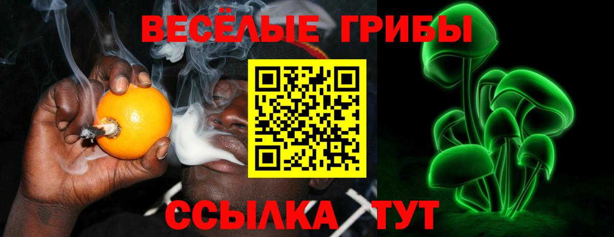наркотики  Псилоцибиновые грибы MAGIC MUSHROOMS  Вход с VPN  Краснознаменск 