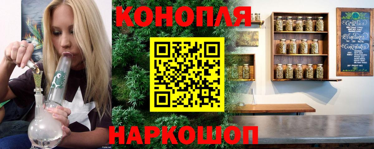 Канабис планчик Краснознаменск